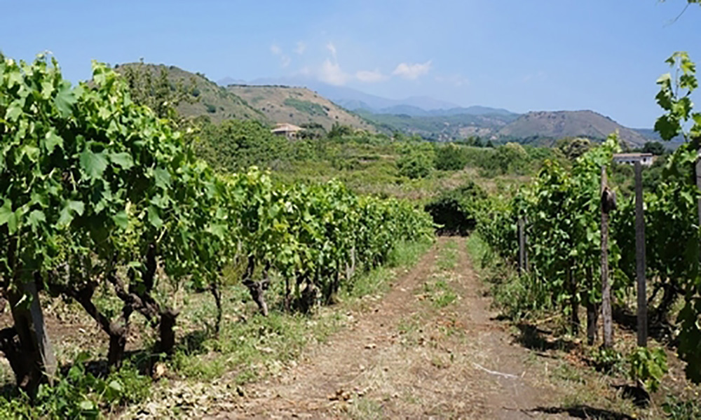 exc-crocieristi-cantina-1.jpg