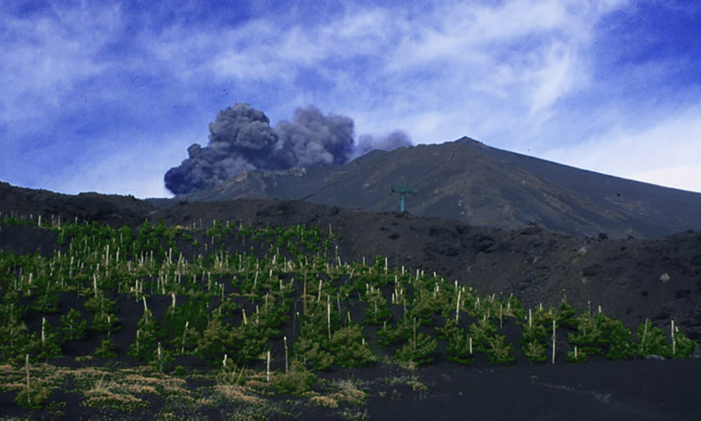 tour-cantine-etna.jpg